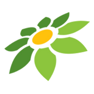 SURYA99